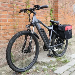 Hochwertiges National Import E-Bike aus China 36v 350w 48v 500w 26inch liefern Waren Ebike Electric wiederauf lad bares Fahrrad