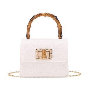 Acrílico Patrón de cocodrilo Nuevo bolso de gelatina Mini bolso cruzado Bolso de hombro para mujer - Product Image 4