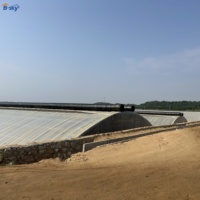 Rumah Kaca Termal 26x98 kaki, Langsung dari Pabrik, Isolasi Khusus untuk Produksi Sayuran Musim Dingin