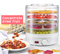Déshydrateur Alimentaire Mini pour Maison, Économie d'Énergie, 350W, Contrôle de Température, 5 Plateaux, pour Viande, Bœuf, Fruits et Légumes