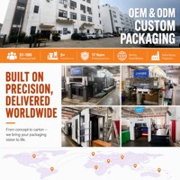 Emballage d'Halloween personnalisé OEM ODM en gros, boîte à bonbons avec fenêtre en PVC imprimée squelette araignée, usine certifiée ISO 9001