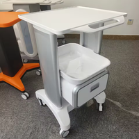 Lit de massage multifonctionnel à quatre roues moderne et élégant, armoire assortie, chariot de beauté, chariot mobile