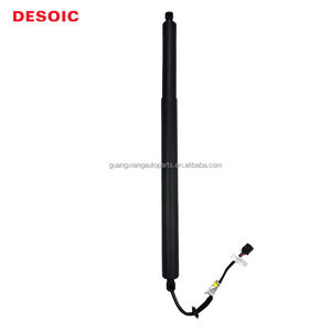 OEM 6305101XKH10A Entretoises de pilier de hayon électrique Pièces <span class=keywords><strong>automobiles</strong></span> neuves pour Haval <span class=keywords><strong>FC</strong></span>-1 2023 <span class=keywords><strong>Automobiles</strong></span> - Product Image 1