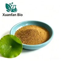 Poudre de Flavonoïdes Totaux de Feuille de Lotus, Extrait Naturel, Matière Première pour Cosmétiques et Compléments Alimentaires, Testée UV, Conditionnée en Fût – Approvisionnement Direct Usine