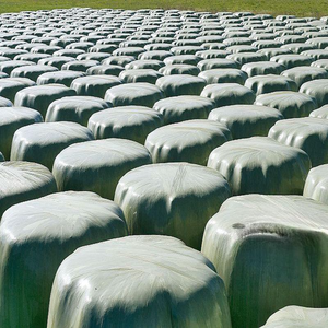 <span class=keywords><strong>Film</strong></span> d'emballage pour balles de foin écologique, résistant à l'humidité, 500 mm x 1700 m, <span class=keywords><strong>film</strong></span> <span class=keywords><strong>étirable</strong></span> en PE pour l'agriculture biologique - Product Image 5