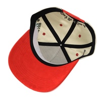 Casquettes personnalisées de marque, prix d'usine, vente en gros, casquette bicolore, tissu en coton, broderie 3D, casquette à fermeture à pression, casquette de baseball