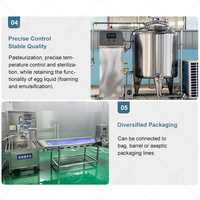 Ligne liquide pasteurisante automatique de processus d'oeufs de machine d'homogénisateur d'oeufs d'ORME pasteurisé
