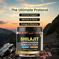 Complément Alimentaire OEM Marque Privée 60 Gommes de Shilajit avec Ashwagandha et Racine de Bardane pour la Mémoire, la Concentration, l'Énergie et l'Endurance