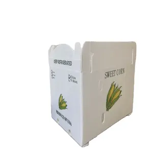 热卖波纹塑料correx coroplast Corflute玉米果蔬pp塑料盒