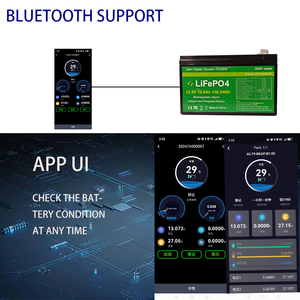 진동 저항 <span class=keywords><strong>12V</strong></span> 12.8V 24V LiFePO4 배터리 팩 리튬 솔루션 퍼스널 모빌리티 스쿠터 및 운송 장치 - Product Image 6