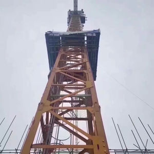 Grúa Torre Usada Marca Zoomlion WA7025-12E Año 2020-2021 en Venta - Product Image 5