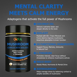 Cápsulas de Hongos de Alta Calidad al por Mayor OEM, Smart Ritual para Mentes Modernas, Apoyo para la Concentración Cerebral, Antioxidante, Refuerzo Inmunológico - Product Image 3