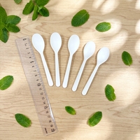 Couteau/Fourchette/Cuillère/Spork en CPLA de couleur personnalisée, petit format, pour glace/gâteau, logo gravé, certifié DIN/BPI/OK