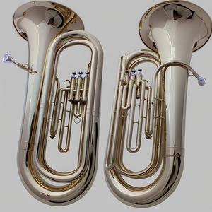 <span class=keywords><strong>Tuba</strong></span> en si bémol en laiton à pistons, instrument à vent de basse fréquence, avec trois pistons, pour usage en fanfare adulte BB - Product Image 1