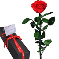 Rose éternelle préservée dans une boîte en papier pour la décoration de la maison, cadeau pour femmes pour la Saint-Valentin