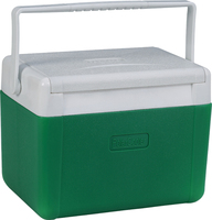 Glacière isotherme PE 9,4 L de haute qualité et durable avec rétention de glace de 5 jours et couleur personnalisable pour usage extérieur