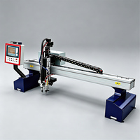 Machine de découpe plasma CNC économique de haute technologie pour une découpe facile de l'acier au carbone, de l'acier inoxydable et du métal