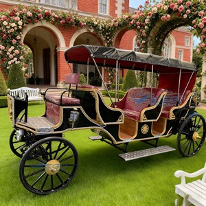 2025 Newest Hot Sale Wedding and Sightseeing Horse Drawn Carriage and Electric Horse Carriages for Sale - Product Image 6