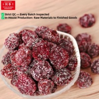TONGXIANG Fabrieksdirect Prijs Verse Gezonde Zoete Smaak Gevriesdroogde Suiker Bayberry 100% Natuurlijk Individueel Verpakt 85g 12 Maanden