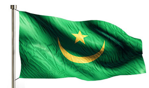 <span class=keywords><strong>Bandera</strong></span> rectangular voladora de calle <span class=keywords><strong>Bandera</strong></span> de <span class=keywords><strong>Mauritania</strong></span> stock de fábrica envío rápido - Product Image 3