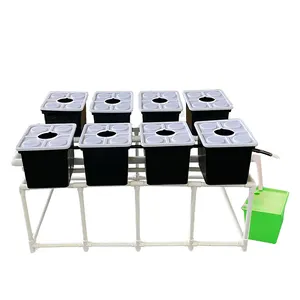 One one Wholesale Indoor plant Deep water culture hydroponic customized size grow tomato