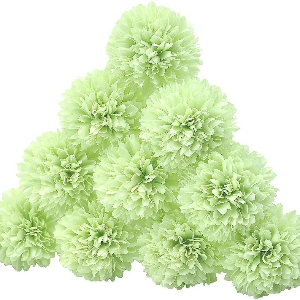 1 bean green