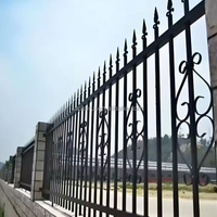 Portail de jardin robuste en acier galvanisé, portail de sécurité résidentiel personnalisé en métal pour extérieur