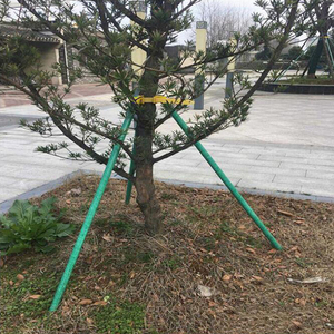 L'inhibiteur UV lisse peut être n'importe quelle longueur spécifique requise piquets d'arbre en fibre de verre pour le soutien des arbres fruitiers - Product Image 6