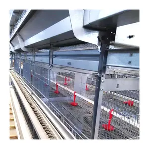 Doğrudan tedarik otomatik tavuk tarım ekipmanları H tipi Pullet kafes