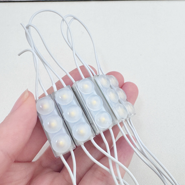 High Brightness Mini LED Modules High Voltage 220V 110V IP68 Waterproof 2709 Warm White SMD3030 Injection Led Module 2-Year