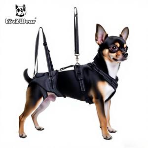 Correa para el pecho de poliéster ecológica con patrón <span class=keywords><strong>s</strong></span>ólido ajustable, cierre de hebilla, cintas, decoración, arné<span class=keywords><strong>s</strong></span> para mascotas para perros medianos/grandes - Product Image 1