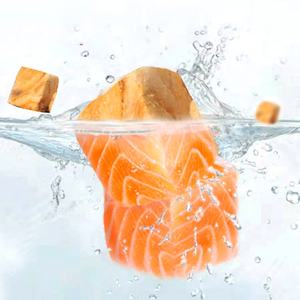 ปลาแซลมอนฟรีซดรายพร้อมหนัง <span class=keywords><strong>ขายส่ง</strong></span> ขนมสำหรับสัตว์เลี้ยง แมว สุนัข ปลาแซลมอนฟรีซดราย - Product Image 3