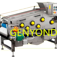 Eenvoudige Bediening Fruitpers Riem Juicer Machine