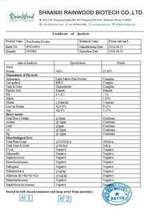 ผงโปรตีนถั่วลันเตา R4ainwood โปรตีนถั่วลันเตาไอโซเลท โปรตีนถั่วลันเตาแบบมีเท็กซ์เจอร์ ผงโปรตีนถั่วลันเตาไอโซเลท เปปไทด์โปรตีนถั่วลันเตา - Product Image 2