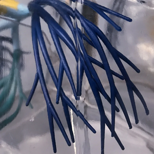Transparentes Anatomisches Menschliches Lungenmodell mit Bronchien für Medizinstudenten und Atemwegsbehandlungsexperten Anatomie-Lehrmaterial CE/ISO - Product Image 2
