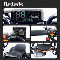 Go Kart Eléctrico Todoterreno de Alta Potencia 48V 1200W con Frenos de Disco, Kart de Carreras para Adultos, Potencia Máxima 3800W