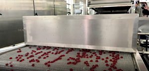 Línea de Producción de Máquinas para Hacer Perlas de Té con Leche y Boba de Konjac de Alta Calidad Directo de Fábrica - Product Image 4