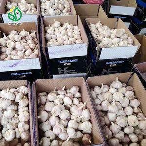 <span class=keywords><strong>Ajo</strong></span> <span class=keywords><strong>chino</strong></span> Normal Blanco Rojo Púrpura Mercado <span class=keywords><strong>Ajo</strong></span> Pelado <span class=keywords><strong>Ajo</strong></span> <span class=keywords><strong>Chino</strong></span> Semillas <span class=keywords><strong>de</strong></span> <span class=keywords><strong>ajo</strong></span> para plantar - Product Image 5