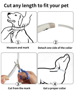 <span class=keywords><strong>Collar</strong></span> impermeable recargable para perro, <span class=keywords><strong>collar</strong></span> elegante de lujo para mascotas con iluminación para caminar de noche, collares de perro iluminados de seguridad - Product Image 5