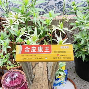 जिन्पी कांगवांग कूलिंग हर्बल मरम्मत क्रीम 15 ग्राम शरीर त्वचा की रिकवरी के लिए जैविक एलोवेरा विटामिन ई का उपयोग करता है - Product Image 1