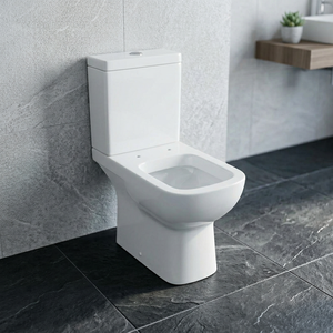 Inodoro de cerámica de dos piezas Vistaar American Square, montado en el suelo, con doble descarga, para baños. - Product Image 5