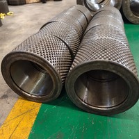 Pièces de rechange pour moulin à granulés TMP420, fabriquées sur mesure en acier inoxydable, résistantes à l'usure, pour Triumph 420-138.