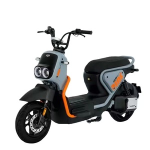 Vélo de ville chinois pour adultes, pneus larges, affichage numérique, fonctionnalités électroniques, moteur sans balais 1000W, cadre en acier, 3 vitesses, freins à disque - Product Image 5
