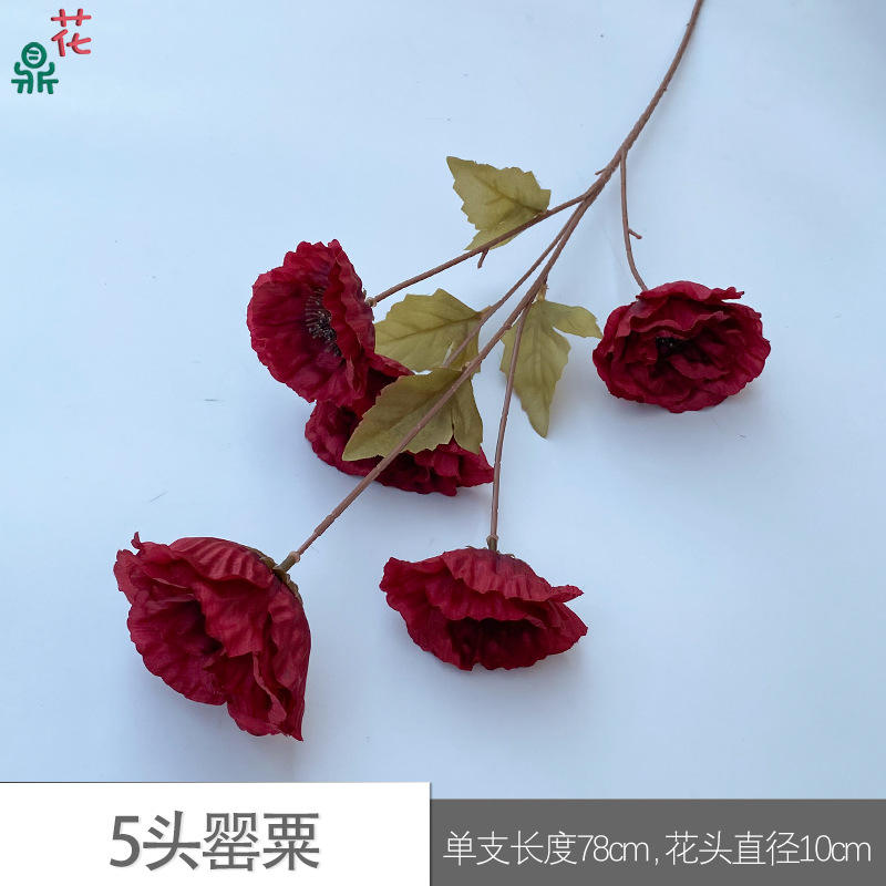 5-หัว Poppy RHW สีแดง