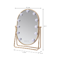 Oval Metal+Glass LED Cosmetic Mirror with 11 Dimmable Light Sources Touch Switch Magnifying Feature Desktop Use