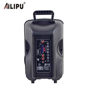 Nouveau haut-parleur portable sans fil d'extérieur pour fête avec poignée DJ et lumière flamme ALP-803 de 8 pouces, OEM, vente chaude - Product Image 6