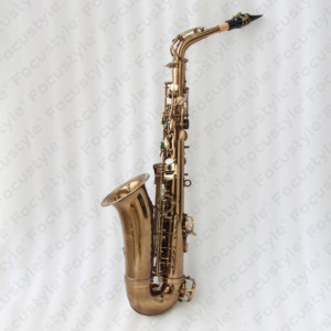 Saxophone OEM de Style célèbre saxophone alto professionnel en laiton avec étui saxophone alto plaqué or café - Product Image 2