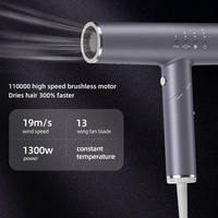 Sèche-cheveux de salon professionnel avec diffuseur d'air froid Sèche-cheveux pliable à faible bruit