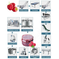 ORME Complete Fruitjam Verwerkingslijn Graantype Rode Dadel Peerjam Sinaasappel Marmelade Fruitpuree Kook- en Vulmachine