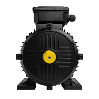 Moteur à induction triphasé de 30 kW, 380 V, 50 Hz, pour usage intensif